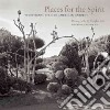 Places for the Spirit libro str
