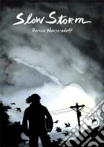 Slow Storm