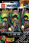 Lego Ninjago Masters of Spinjitzu 9 libro str
