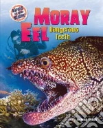 Moray Eel