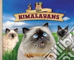Hip Himalayans