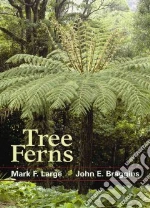 Tree Ferns
