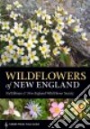 Wildflowers of New England libro str