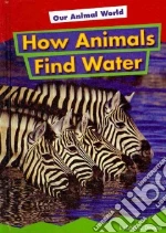 How Animals Find Water