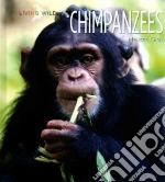 Chimpanzees