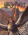 Harry Potter libro str