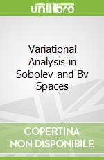 Variational Analysis in Sobolev and Bv Spaces