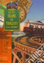 The Railroad in America History libro str