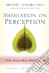 Meditation on Perception libro str