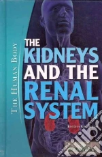The Kidneys and the Renal System