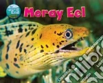 Moray Eel