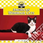 American Wirehair Cats