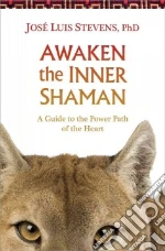 Awaken the Inner Shaman