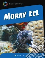 Moray Eel