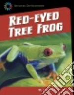 Red-eyed Tree Frog