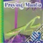 Praying Mantis