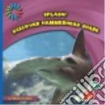 Discover Hammerhead Shark