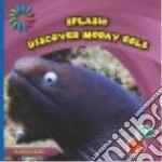Discover Moray Eels