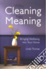 Why Cleaning Has Meaning