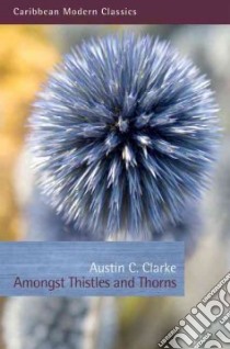 Amongst Thistles and Thorns libro in lingua di Clarke Austin C., Kamushiga Aaron (INT)
