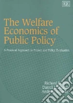 The Welfare Economics of Public Policy