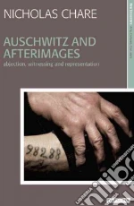 Auschwitz and Afterimages