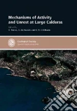 Mechanisms of Activity and Unrest at Large Calderas