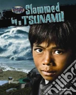 Slammed by a Tsunami!