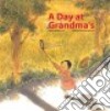A Day at Grandma's libro str