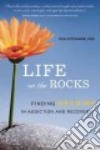 Life on the Rocks libro str