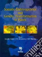 Somatic Embryogenesis and Genetic Transformation in Plants
