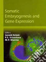 Somatic Embryogenesis and Gene Expression