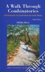 A Walk Through Combinatorics
