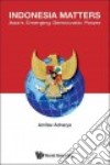 Indonesia Matters libro str