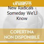New Radicals - Someday We'Ll Know cd