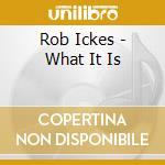 Rob Ickes - What It Is cd musicale di Ickes Rob