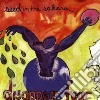 Disappear Fear - Seed In The Sahara cd
