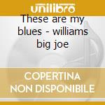 These are my blues - williams big joe cd musicale di Big joe williams