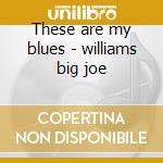 These are my blues - williams big joe cd