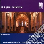 Todd Wilson - In A Quite Cathedral (2 Cd) cd