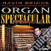 Organ Spectacular - Musica Per Organo - Briggs David Paul Org cd