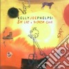 Kelly Joe Phelps - Sky Like A Broken Clock cd