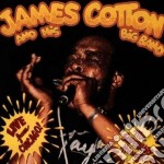 James Cotton - Live From Chicago