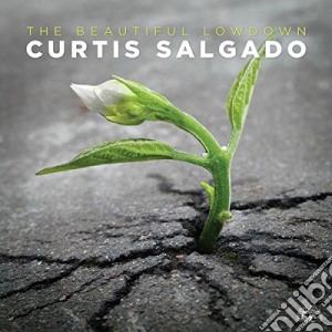 Curtis Salgado - The Beautiful Lowdown cd musicale di Curtis Salgado