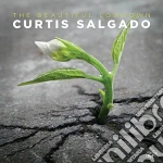 Curtis Salgado - The Beautiful Lowdown cd