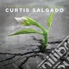 Curtis Salgado - The Beautiful Lowdown cd