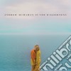 Andrew Mcmahon - In The Wilderness cd