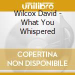 Wilcox David - What You Whispered cd