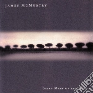 James Mcmurtry - Saint Mary Of The Woods cd musicale di McMURTRY JAMES