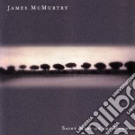 James Mcmurtry - Saint Mary Of The Woods